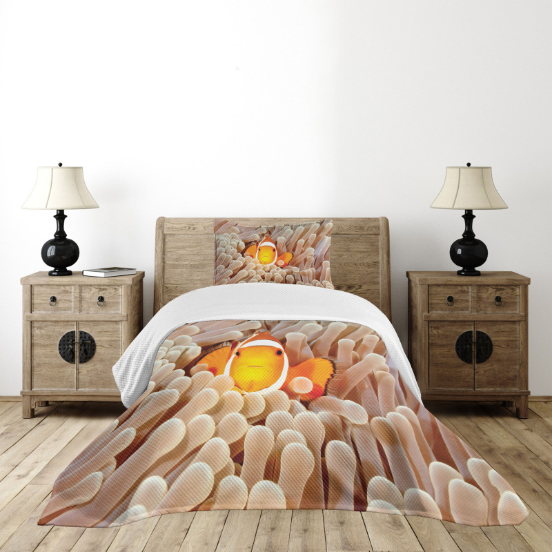 Bali Indonesia Fishes Bedspread Set