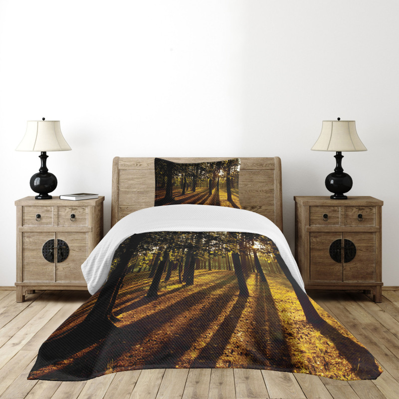 Summertime Forest Tree Bedspread Set