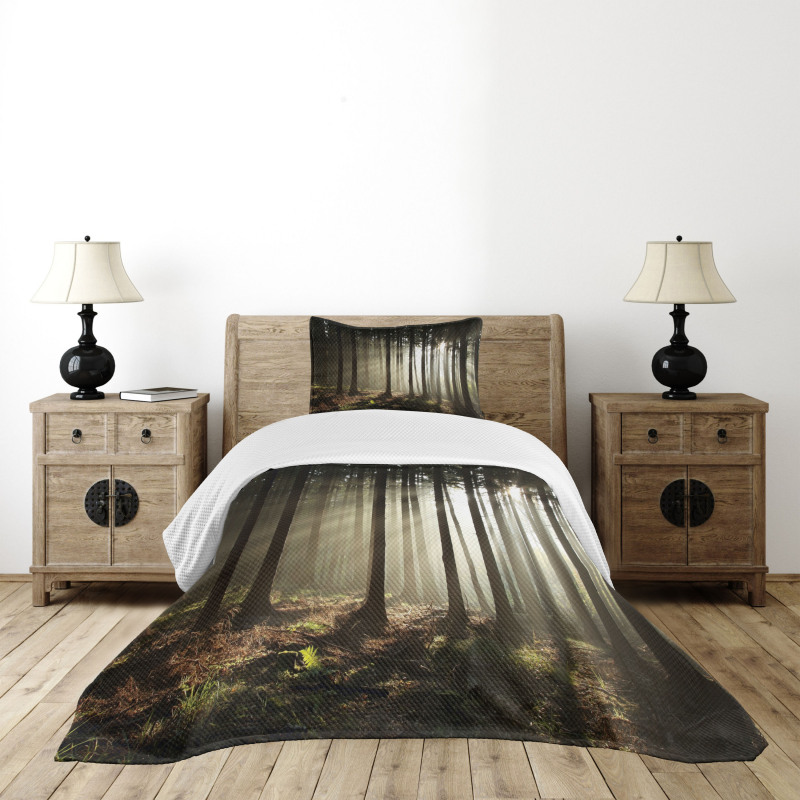 Morning Forest Scenery Bedspread Set