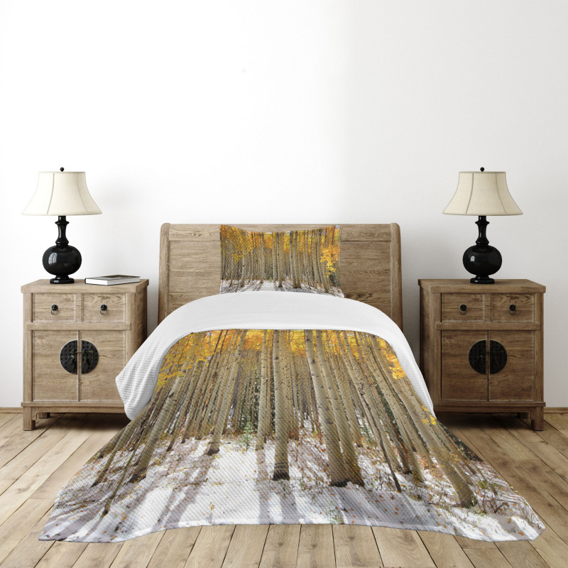 Aspen Tree Woods Scenery Bedspread Set