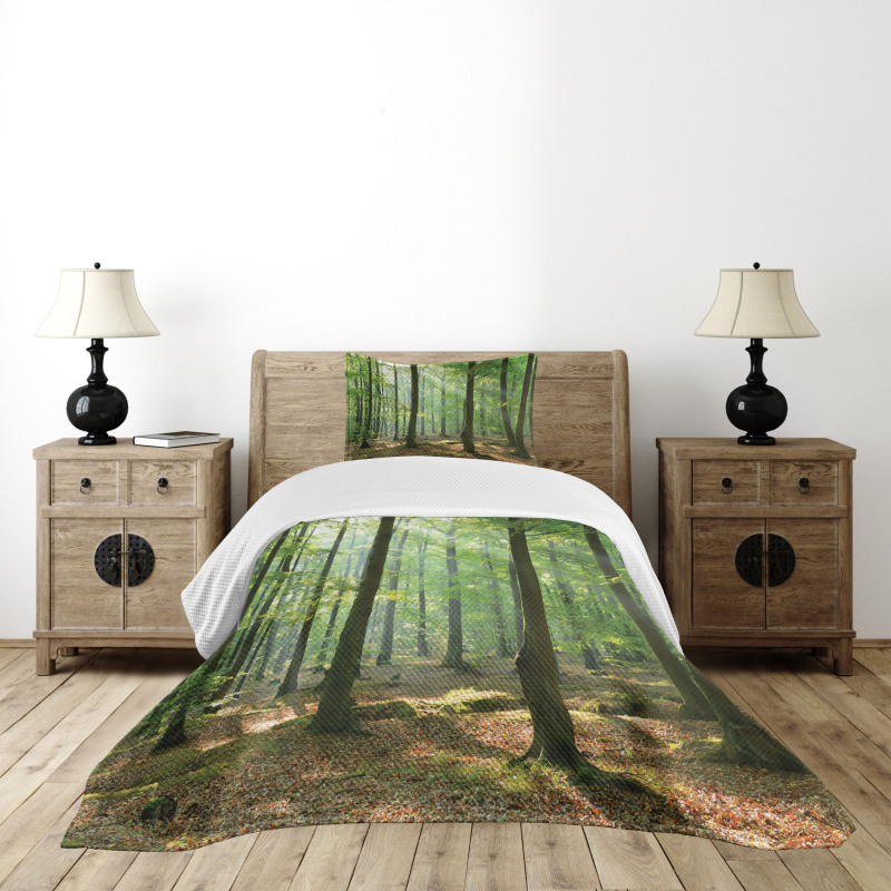 Morning Forest Farmhouse Bedspread Set