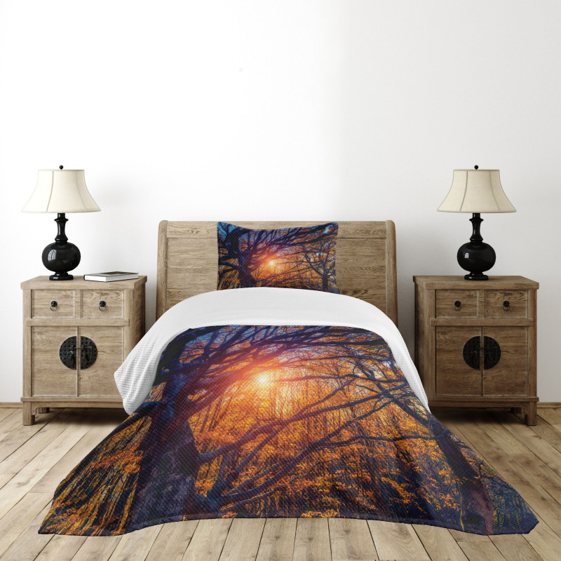 Majestic Trees Woods Bedspread Set