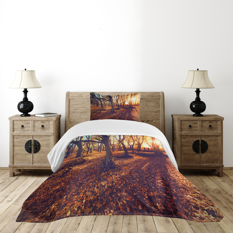 Sunset Forest Trees Bedspread Set