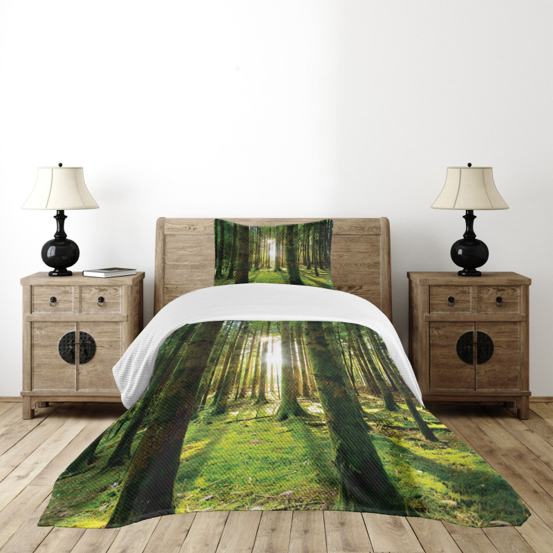 Sunny Day in the Forest Bedspread Set