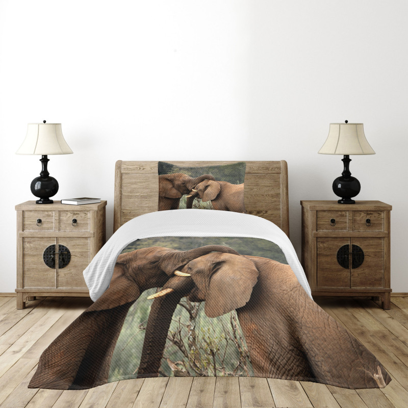 Safari Animals Savanna Bedspread Set