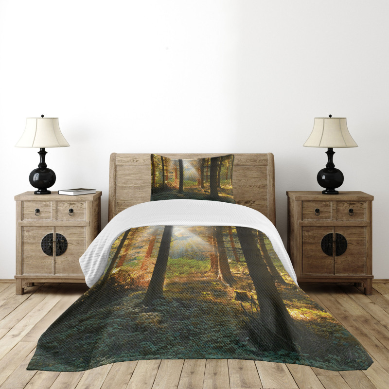 Sunset Dark Pine Trees Bedspread Set