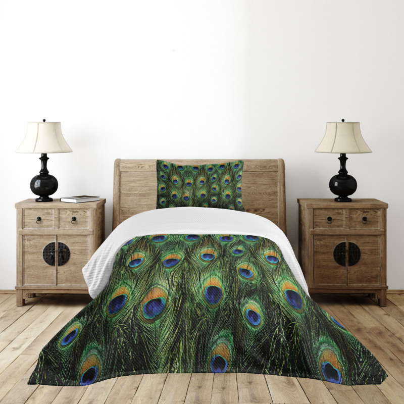 Exotic Animal Feathers Bedspread Set