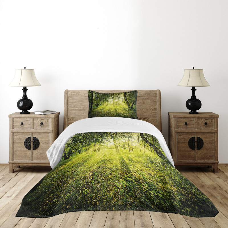 Scenic Morning in Nature Bedspread Set