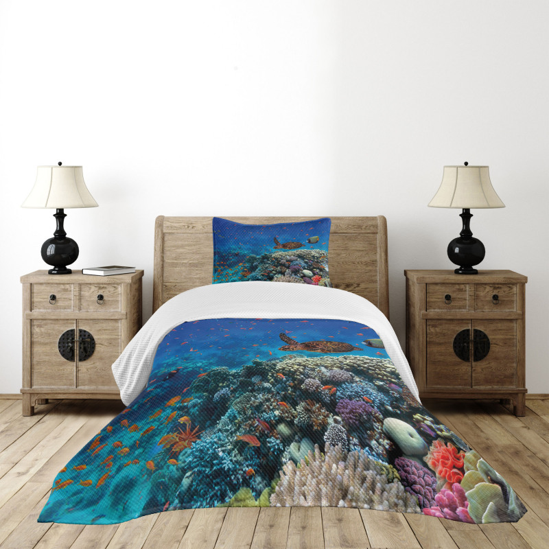 Tropical Turtle Water Bedspread Set