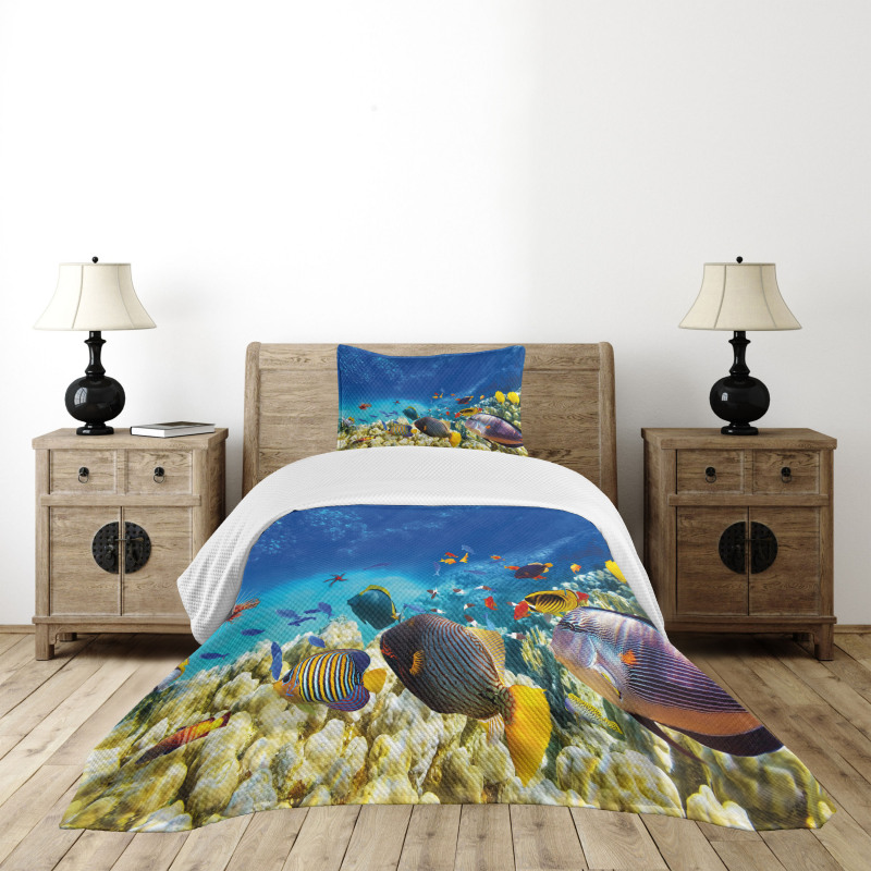 Ocean Animals Bedspread Set