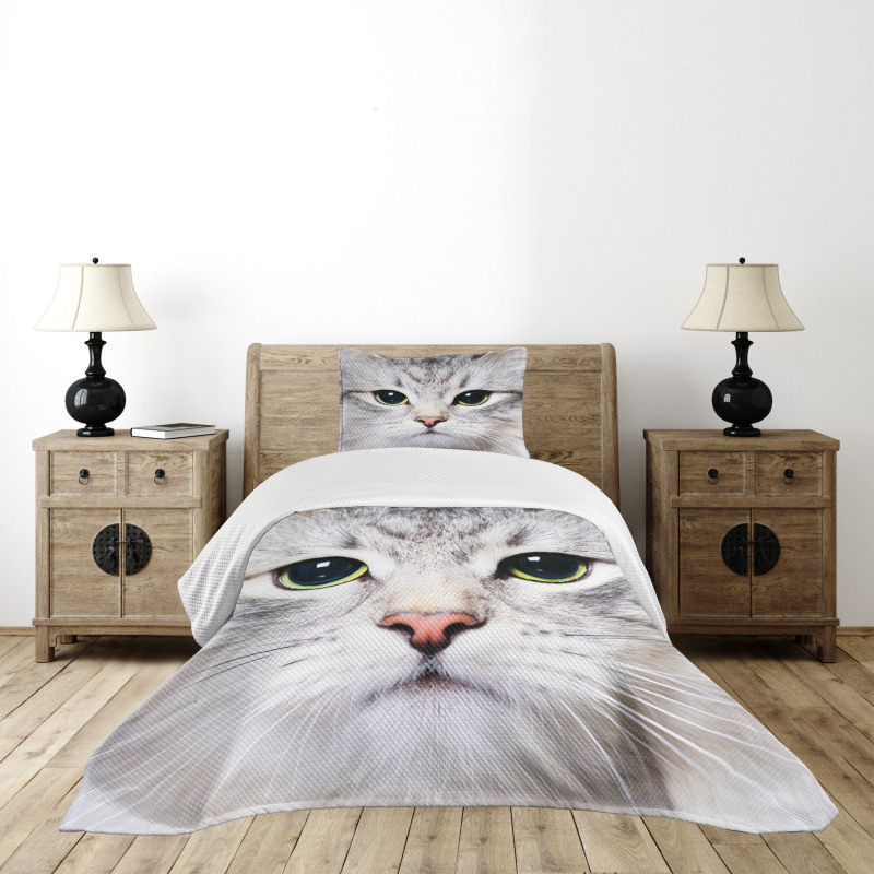 Face of a Domestic Kitty Bedspread Set