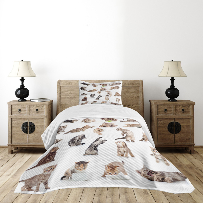 Funny Playful Cats Image Bedspread Set