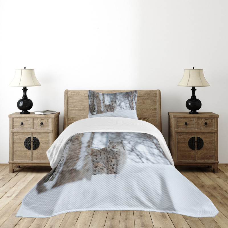 European Lynx Wilderness Bedspread Set