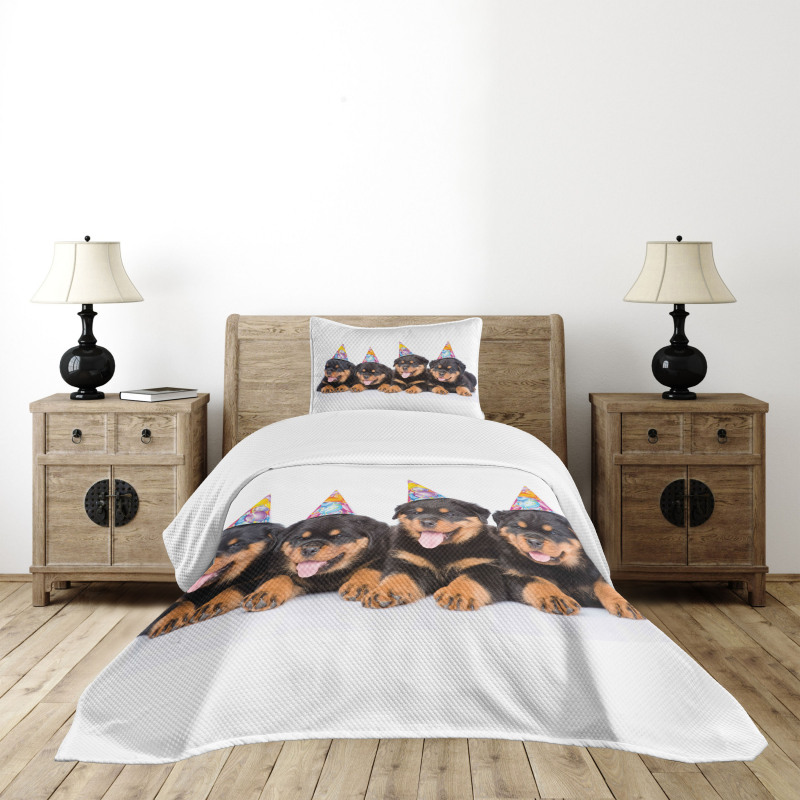 Birthday Dogs Hats Bedspread Set