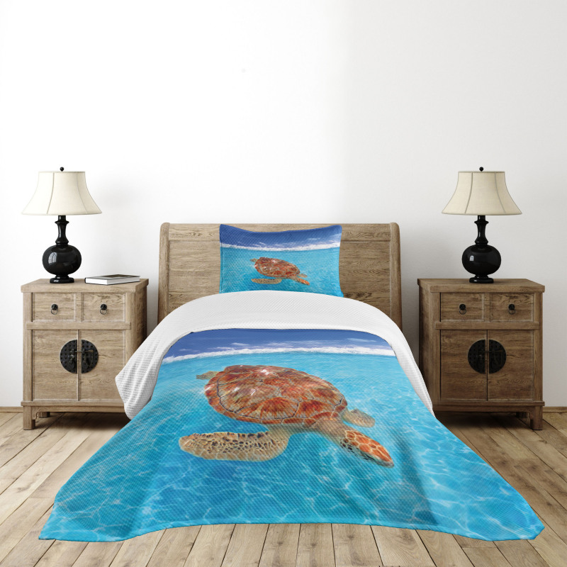 Chelonia Water Surface Bedspread Set