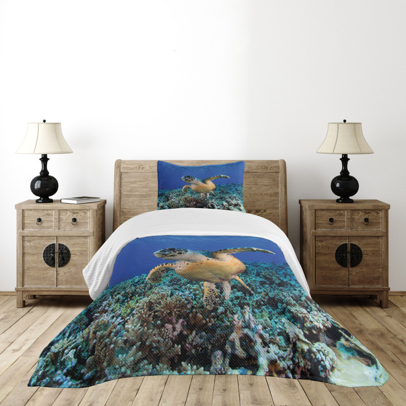 Cheloniidae Deep Ocean Bedspread Set