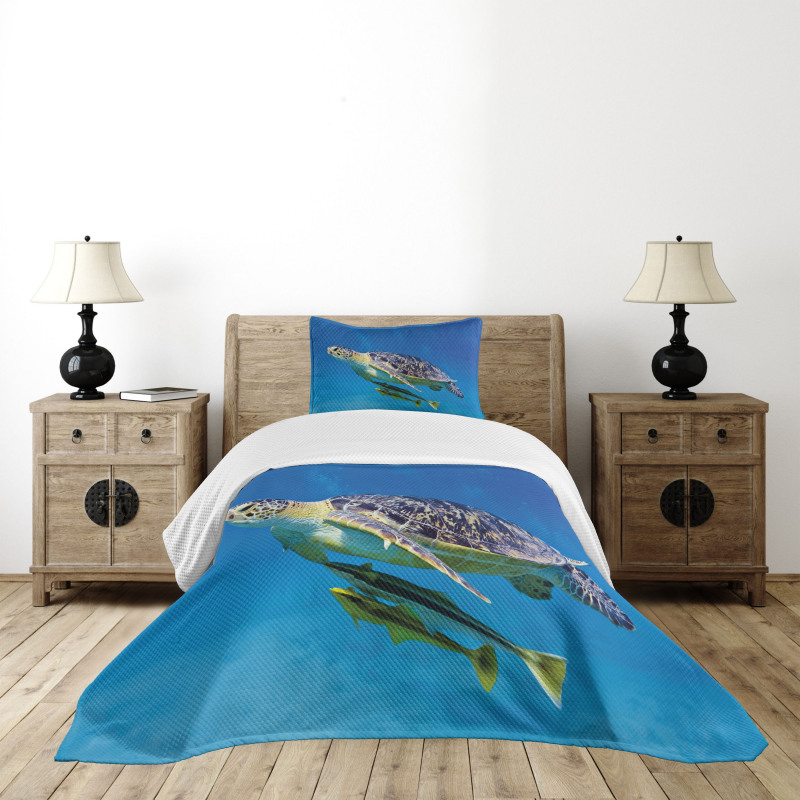 Fishes Swimming Ocean Bedspread Set