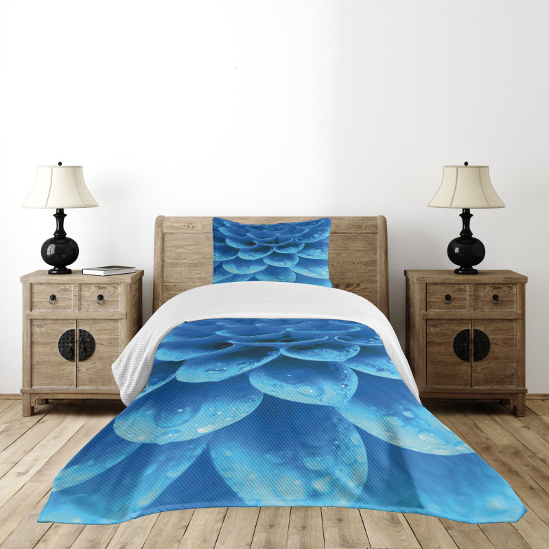 Gerbera Abstract Petals Bedspread Set