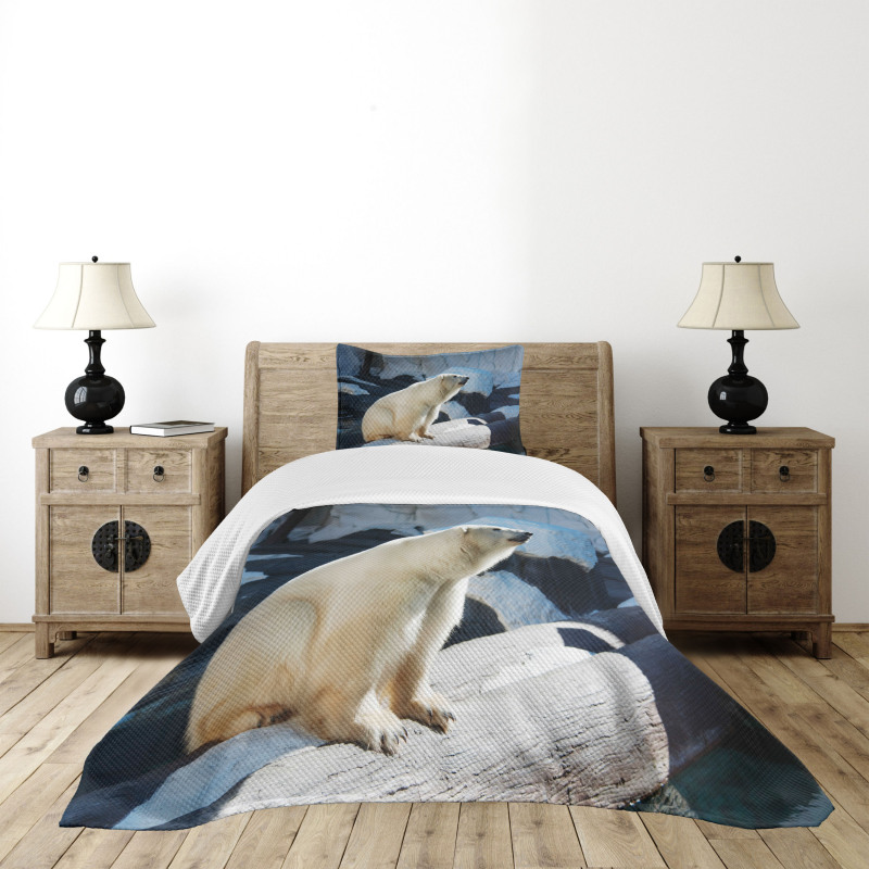 Polar Bear in Park Rocks Bedspread Set