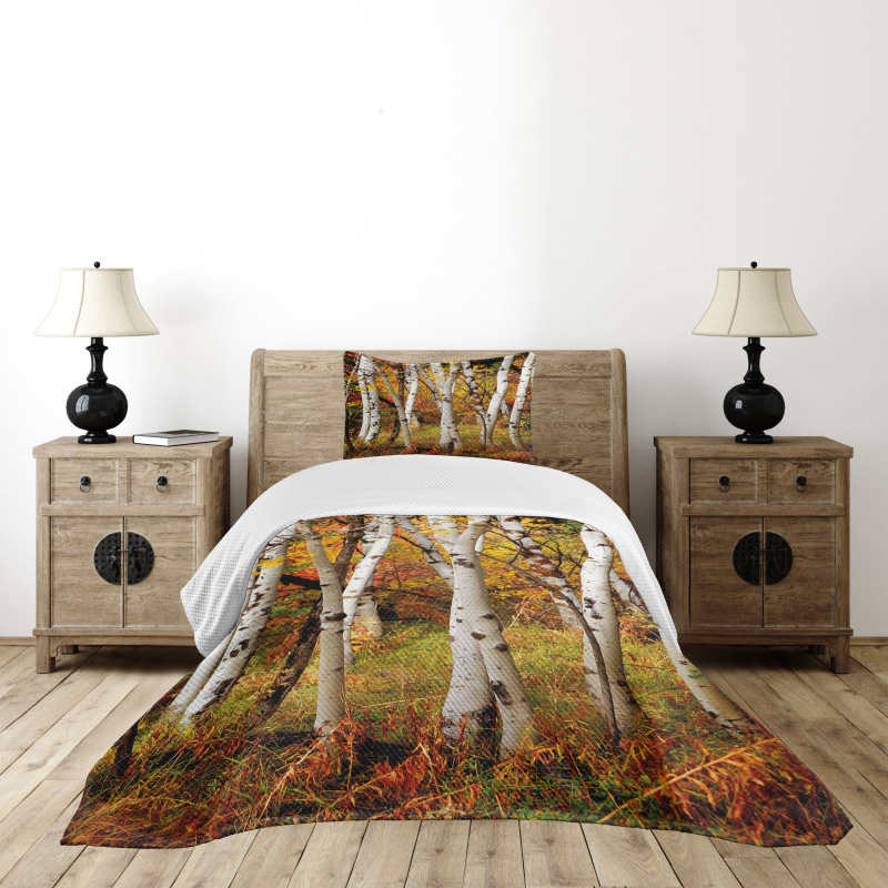 White Birch Trees Serenity Bedspread Set