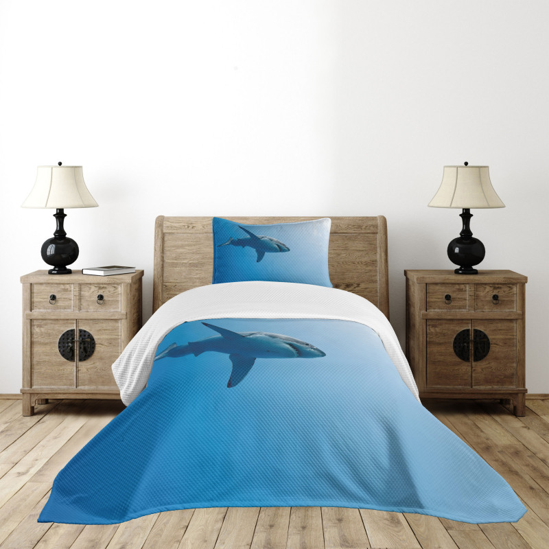 Fish in Ocean Swimming Bedspread Set