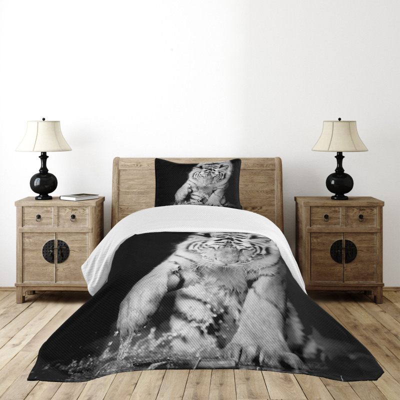 Large Cat Plays in Water Bedspread Set