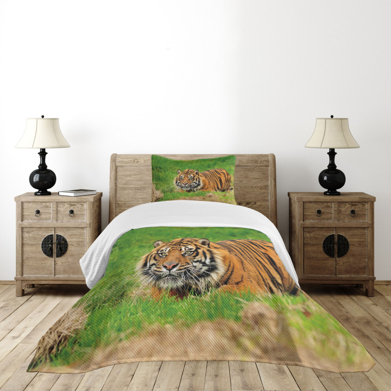 Sumatran Feline Ambush Bedspread Set