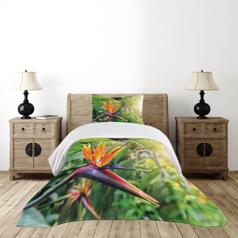 Bird of Paradise Flower Bedspread Set