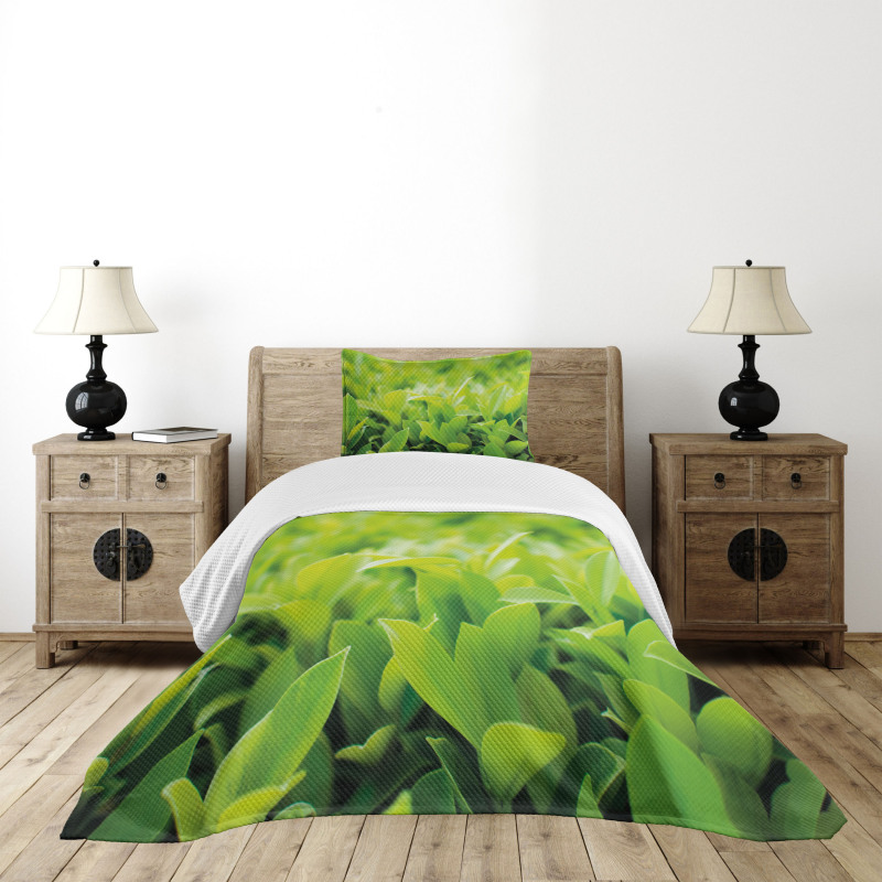Lush Green Leaves Bedspread Set