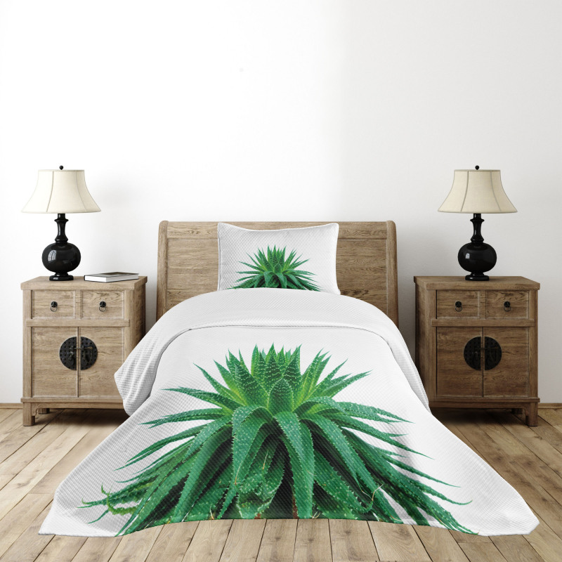 Vibrant Aloe Vera Bedspread Set