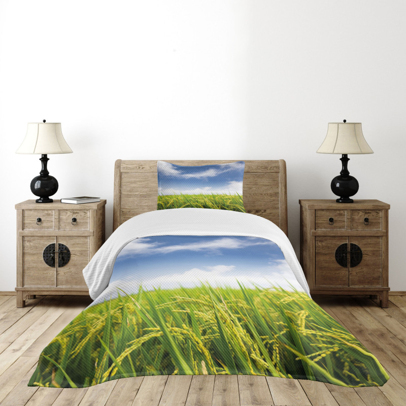 Paddy Rice Field Bedspread Set