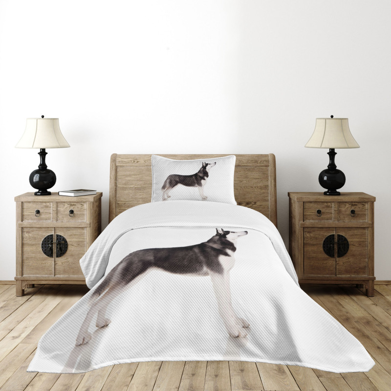 Arctic Animal Bedspread Set