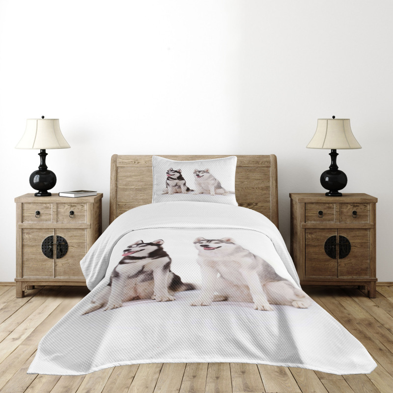 Furry Doggies Bedspread Set