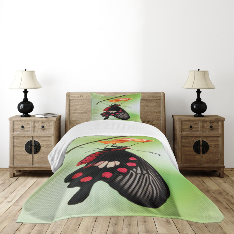 Open Cocoon Bedspread Set