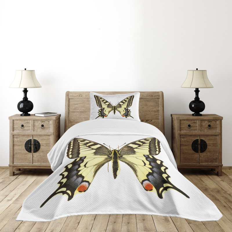 Old Papilio Bedspread Set