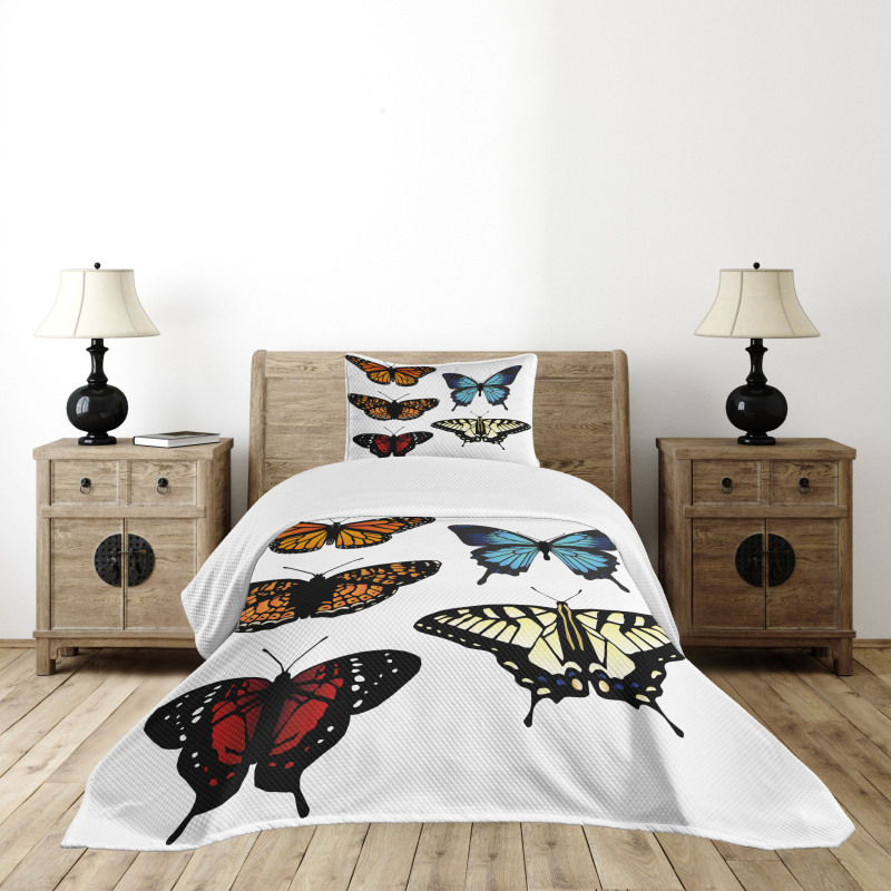 Monarch Lady Bedspread Set