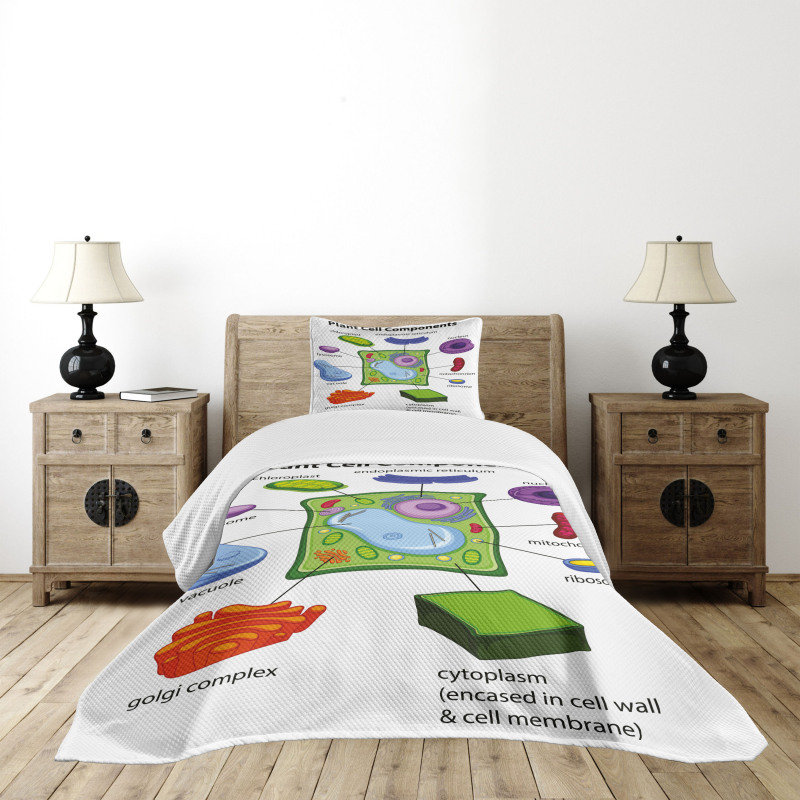 Cartoon Science Bedspread Set