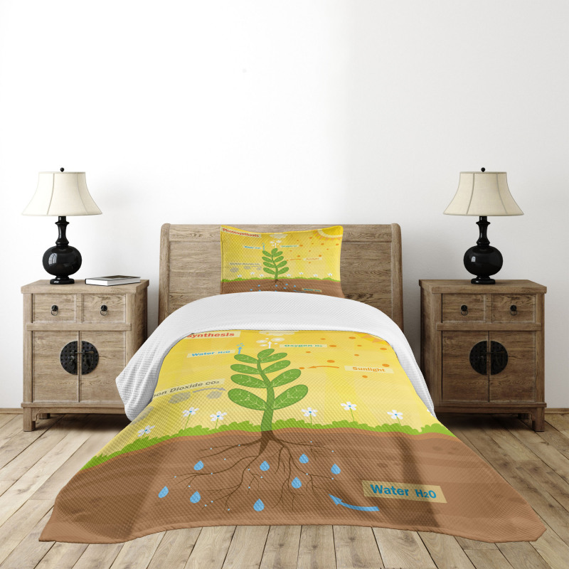 Cartoon Oxygen Sun Bedspread Set