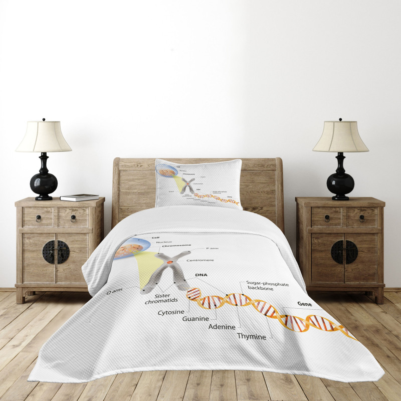 DNA Gene Genome Bedspread Set