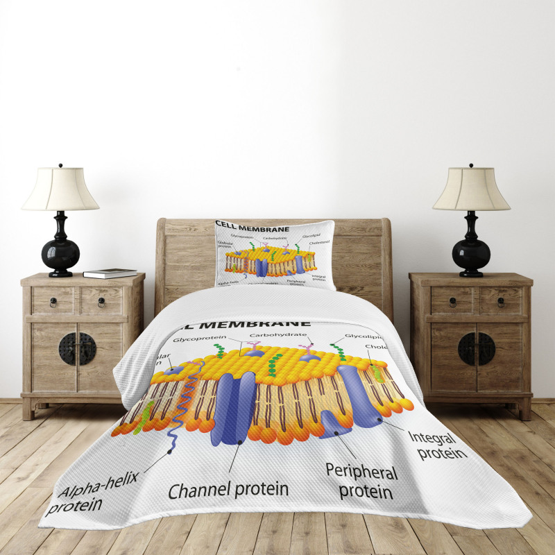 Membrane Cell Types Bedspread Set