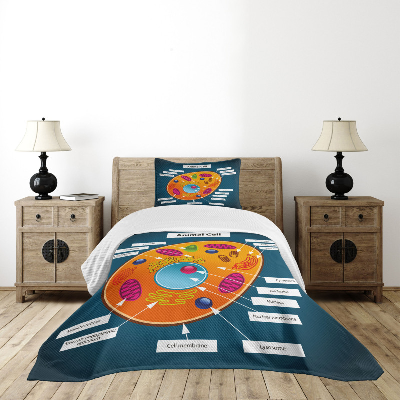 Science at School Bedspread Set