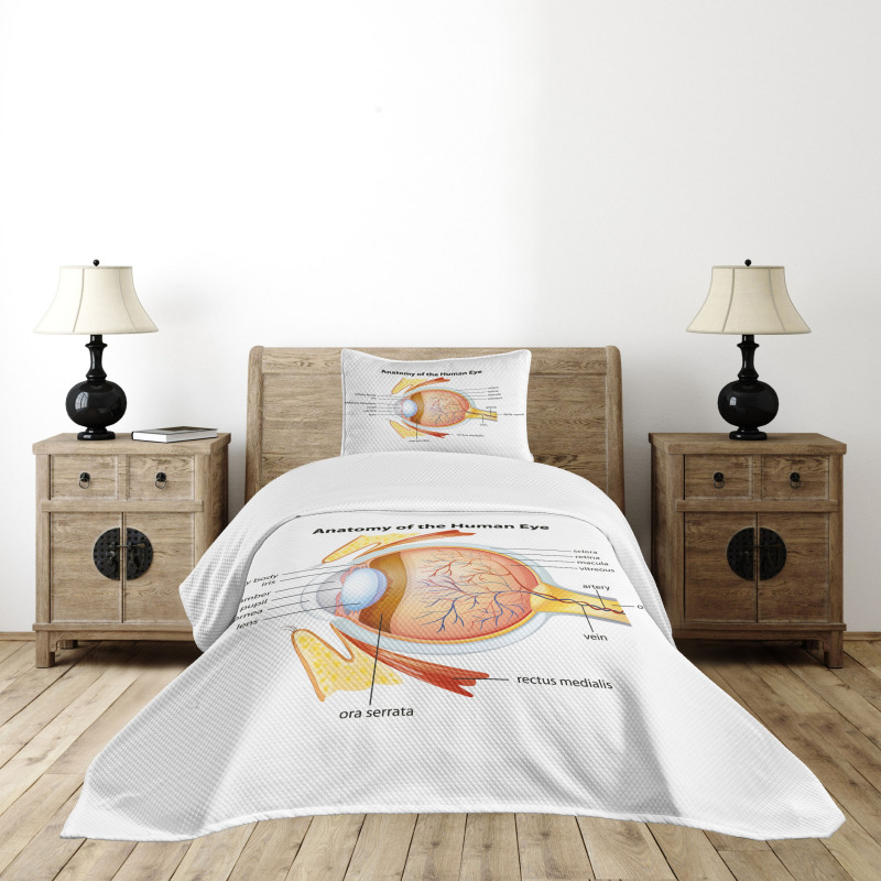 Eye Cornea Pupils Bedspread Set