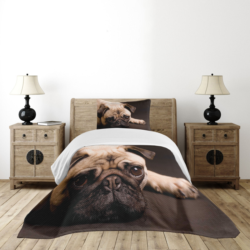 Puppy Photograph Animals Bedspread Set