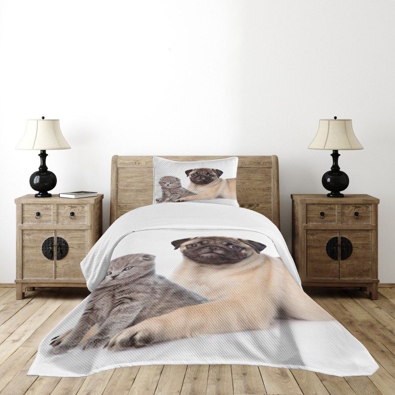 Young Puppy and Kitten Bedspread Set