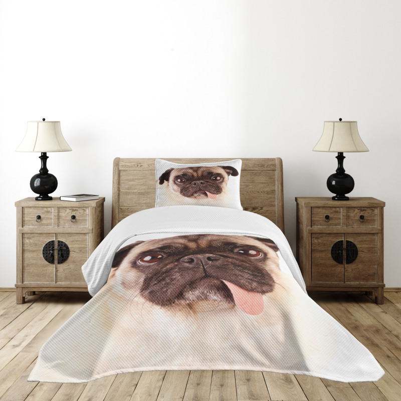 Upset Dog Sad Eyed Pet Bedspread Set