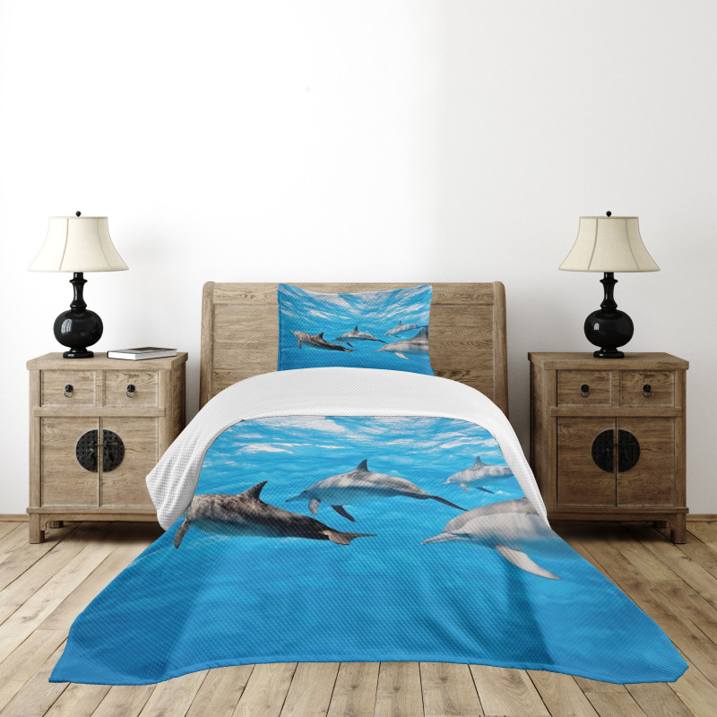 Happily Swimming Fish Bedspread Set