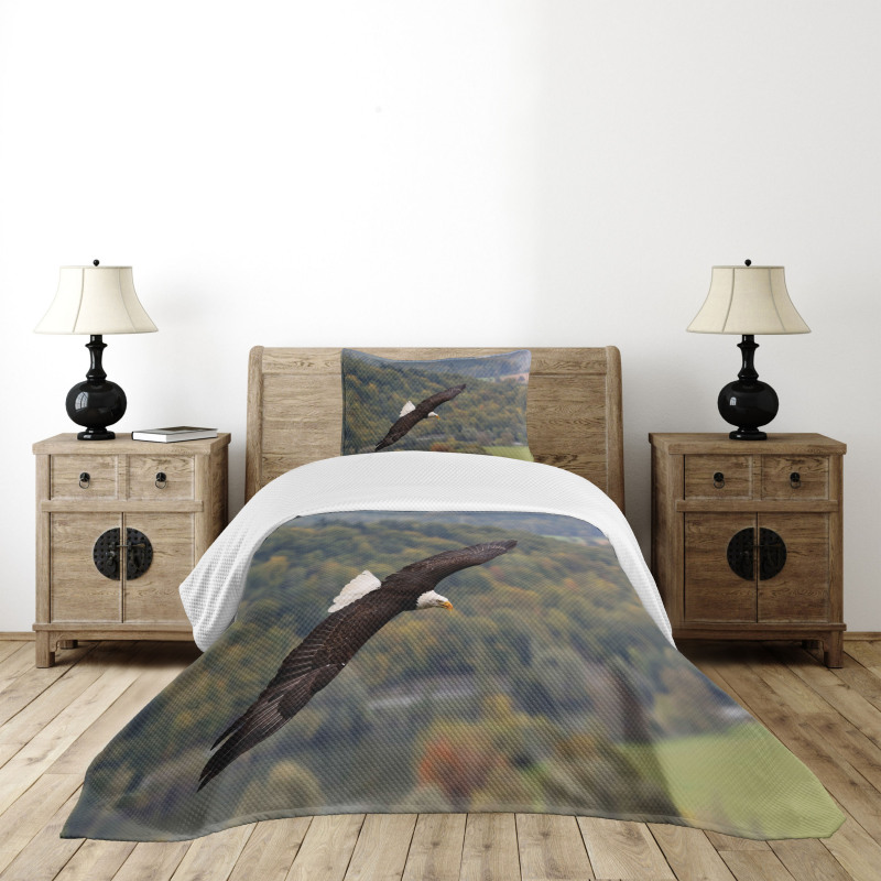 King of Skies Fly Forest Bedspread Set