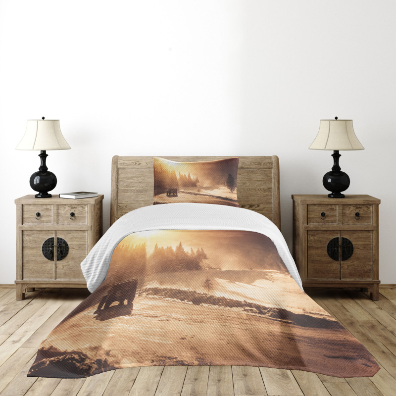 Colorado Mountain Road Bedspread Set