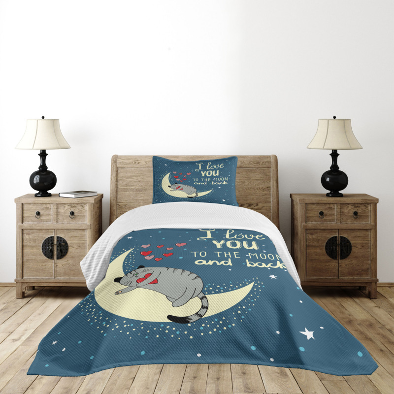 Sleepy Cat Hearts Bedspread Set