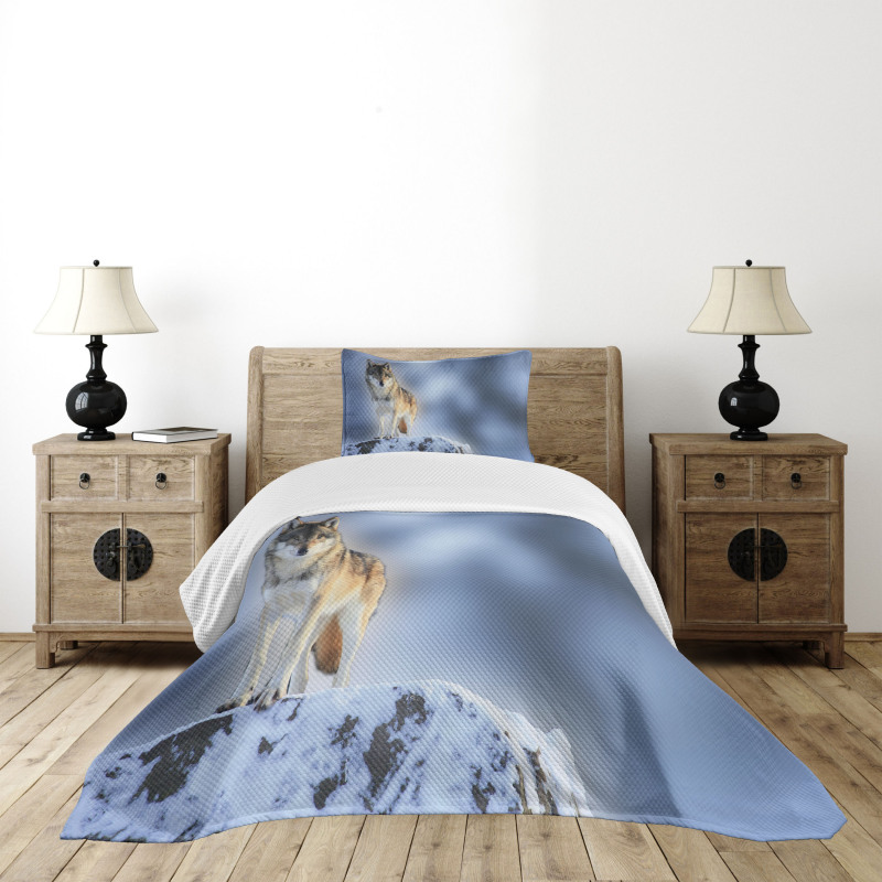Carnivore Canine in Snow Bedspread Set